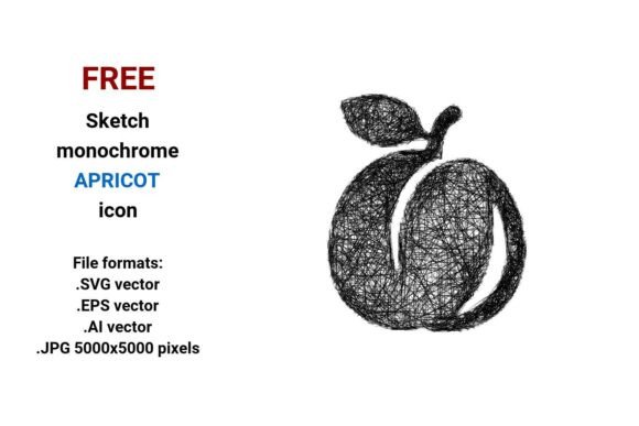 Free Sketch Apricot Icon